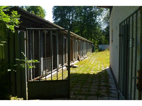 Foto 93